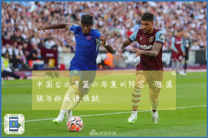 中国台北男篮公布集训阵容，陈盈骏与林庭谦领航