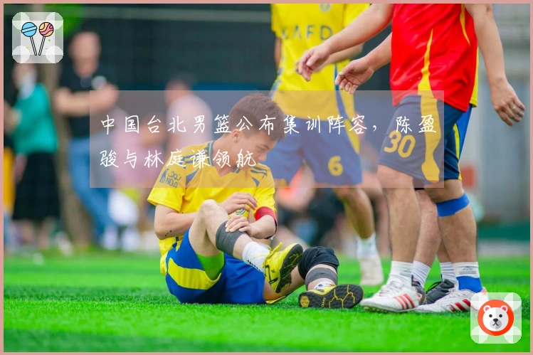 中国台北男篮公布集训阵容，陈盈骏与林庭谦领航